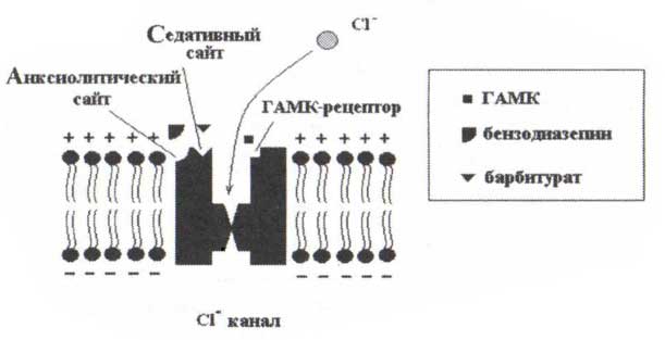 Схема ГАМК-рецептора