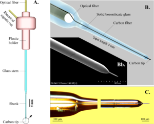 Карбоновый микроэлектрод. Карбоновые микроволокна (9 мкм) расположены внутри боросиликатной пипетки.