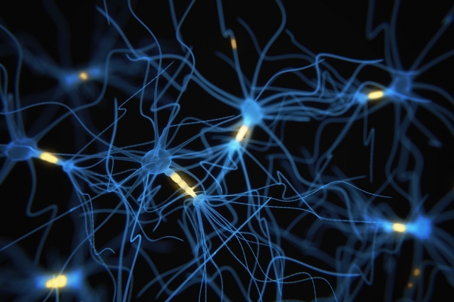 Электрическая активность нейронов