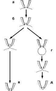 Схема различных конфигураций patch-clamp
