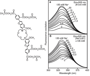 Химическая структура и спектральные характеристики флуоресцентного натриевого индикатора SBF1