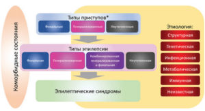 Структура Классификации эпилепсии ILAE 2017 г. 
